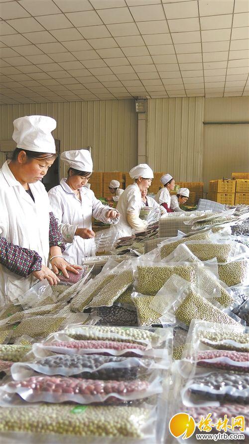 工人们在包装小杂粮产品